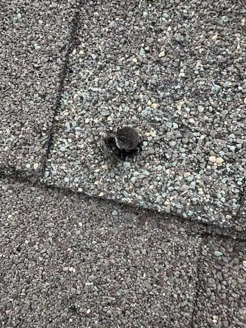 The Roof Inspection Process: What To Expect