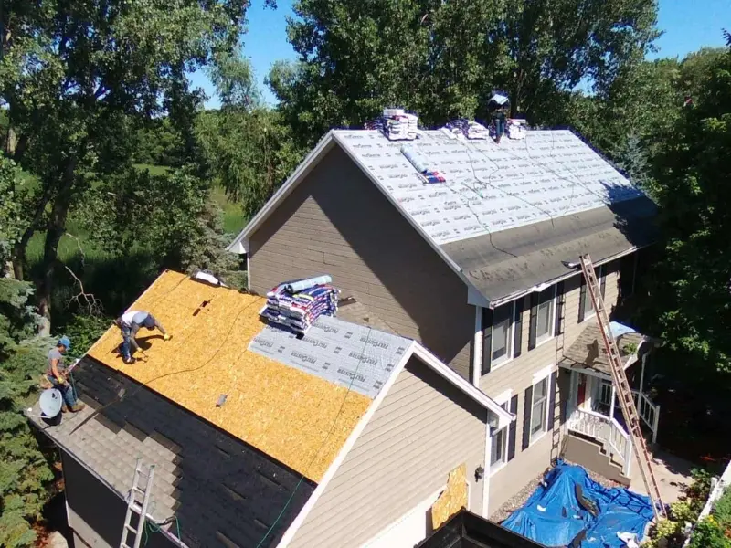 Roof Tarp
