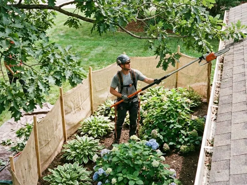 Roof Replacement Preparation