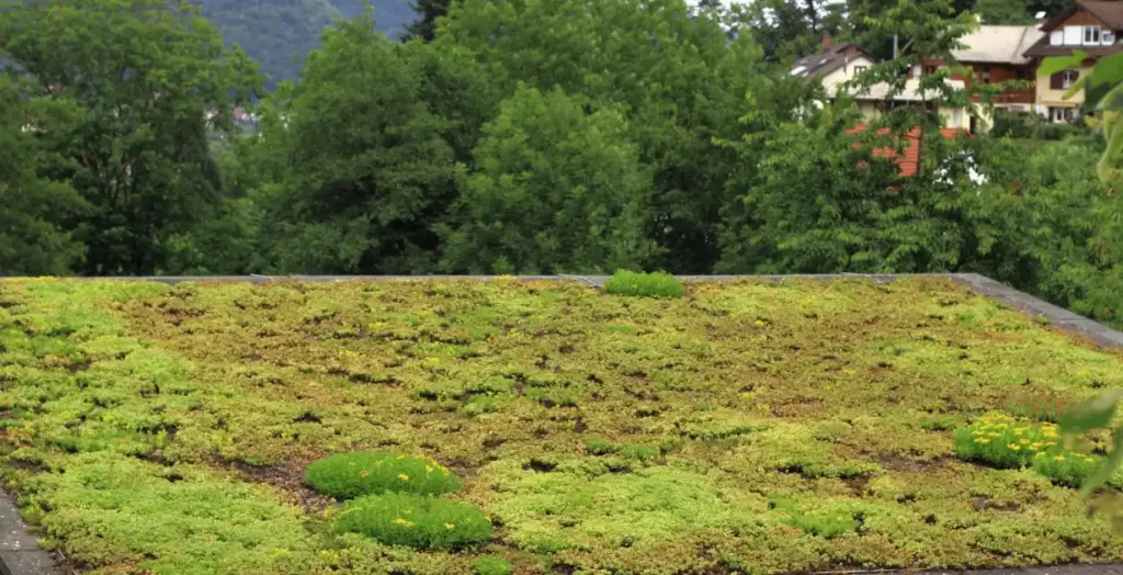 green commercial roofing