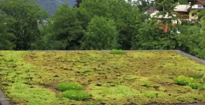 green commercial roofing