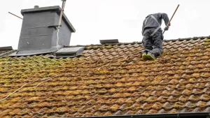 roof moss removal