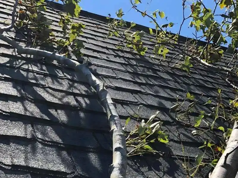 emergency roof repair