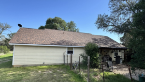tree roof damage