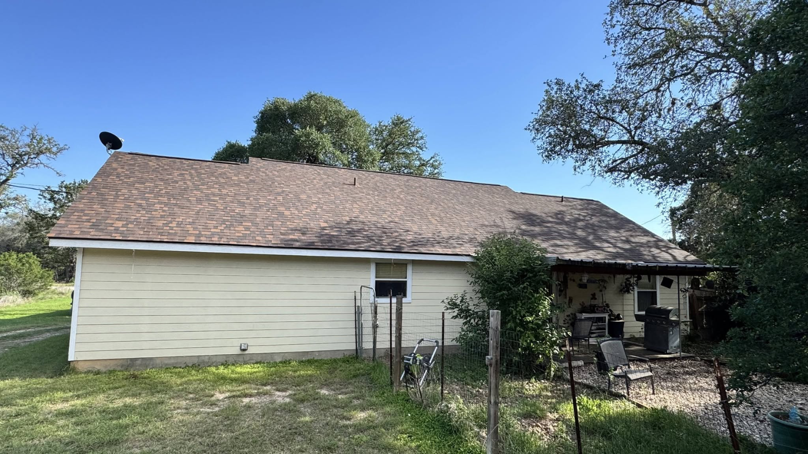 tree roof damage